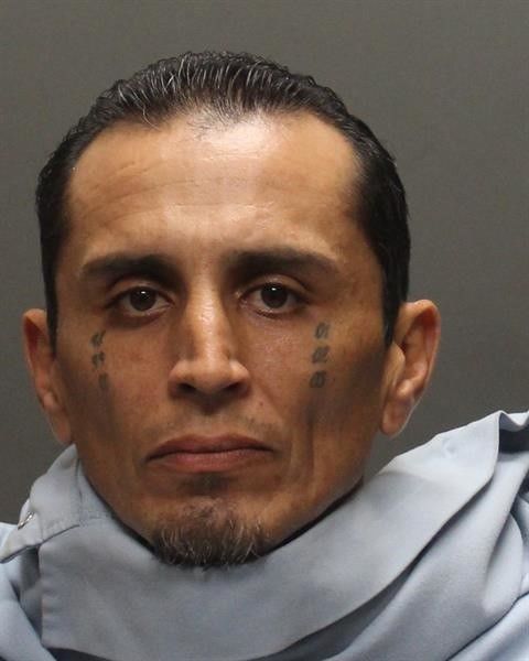 Mug shots 2019
